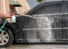 Auto Shampoo